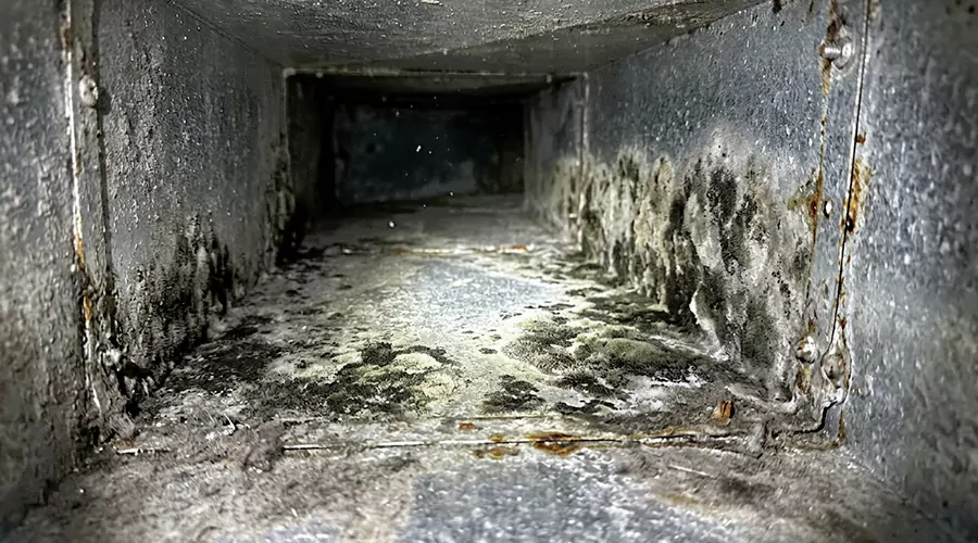 How to Check for Mold on HVAC Vents?