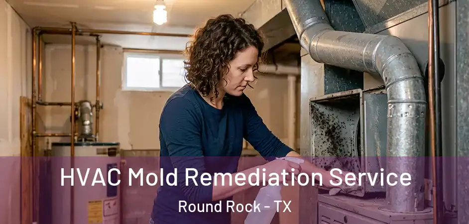 HVAC Mold Remediation Service Round Rock - TX
